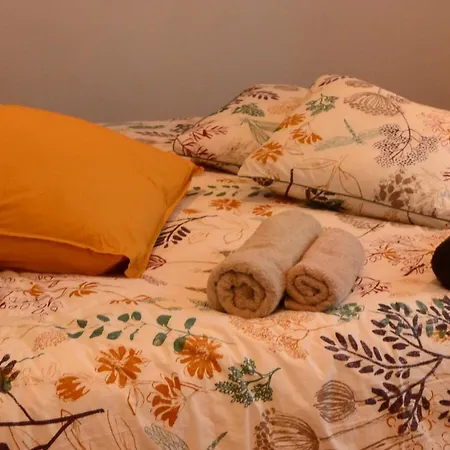 La Maison De Lau Bed & Breakfast Salies-de-Béarn