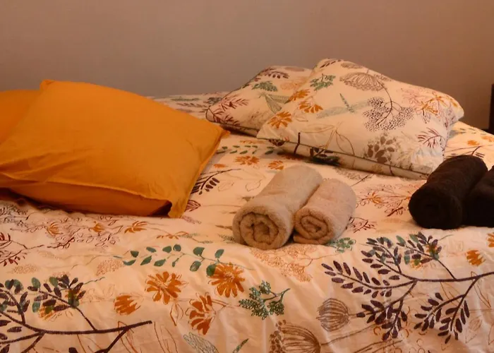 La Maison De Lau Bed & Breakfast Salies-de-Béarn